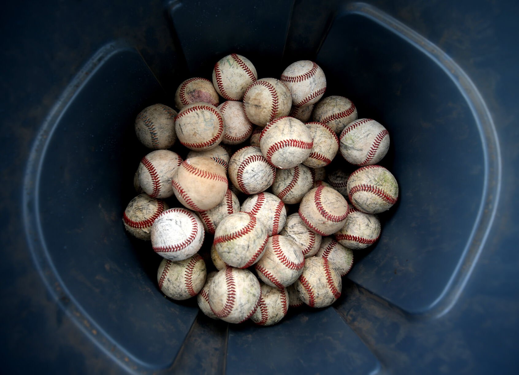 Saguaros vs Wasco Reserve